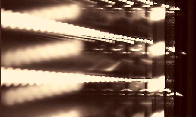 Сянка и прохлада